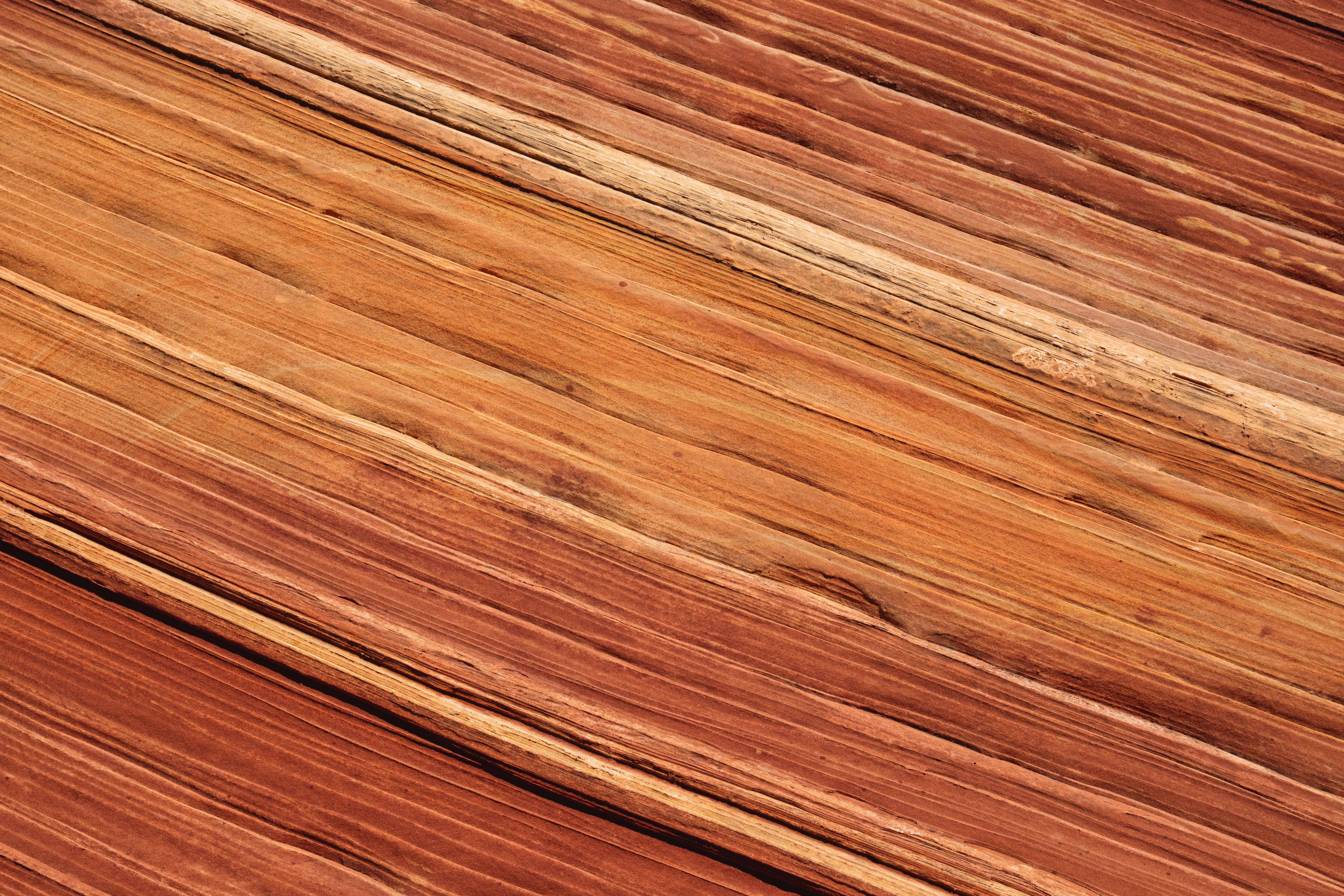 Best Wood Types for Outdoor Furniture: A Comprehensive Guide