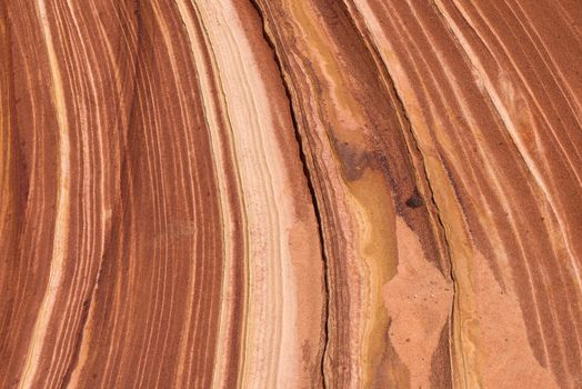Close-up of a sandstone surface showcasing unique striations and earthy tones.
