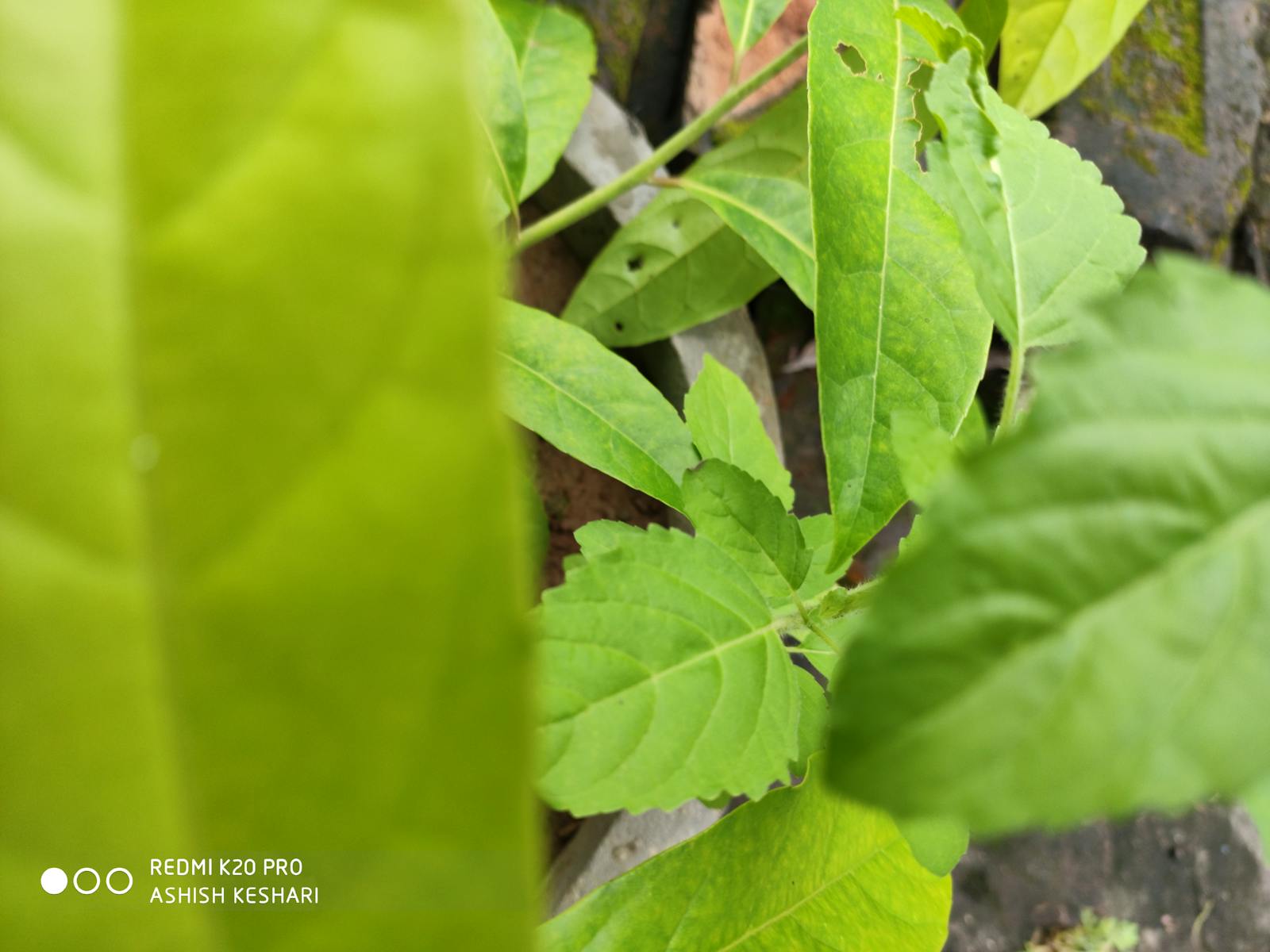 Oil drilling rig at work