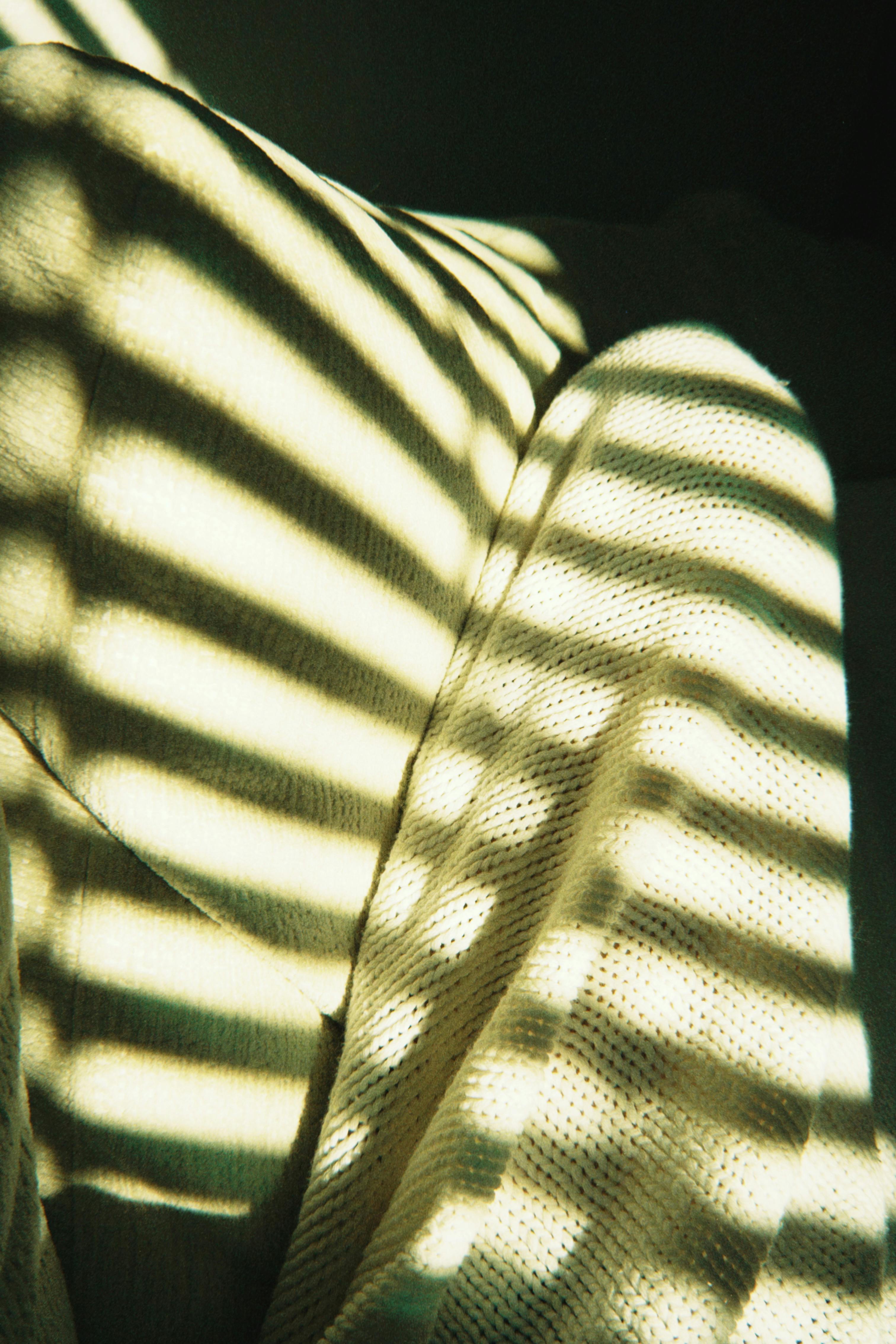 免費 溫暖的室內場景，陽光在舒適的毯子上投射出條紋圖案。 圖庫相片