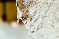 高分辨率特写图像清晰展现了冰层纹理的复杂细节