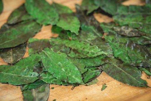 Dried Guayusa Leaves on a Wooden Surface
