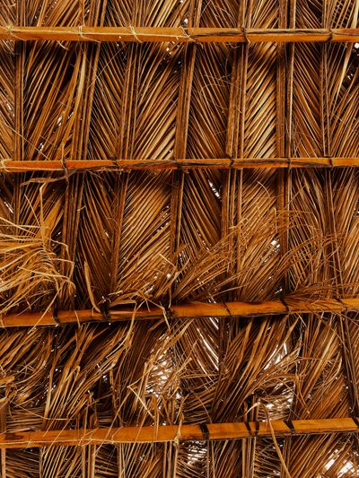 Palm-frond craft
