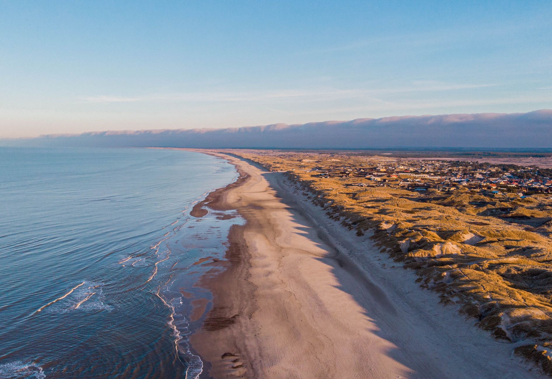 Veel kwallen op het strand