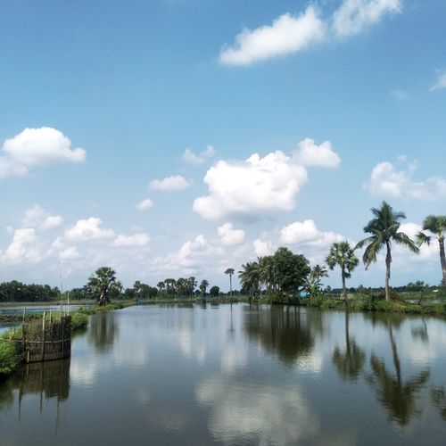 Free Idyllic view of a tropical lake surrounded by lush trees and palm trees under a vibrant blue sky with fluffy clouds. Stock Photo