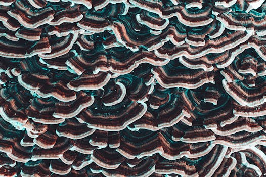 丰富的特写镜头细节，以起伏的图案生动地展现出充满活力的纹理与色调