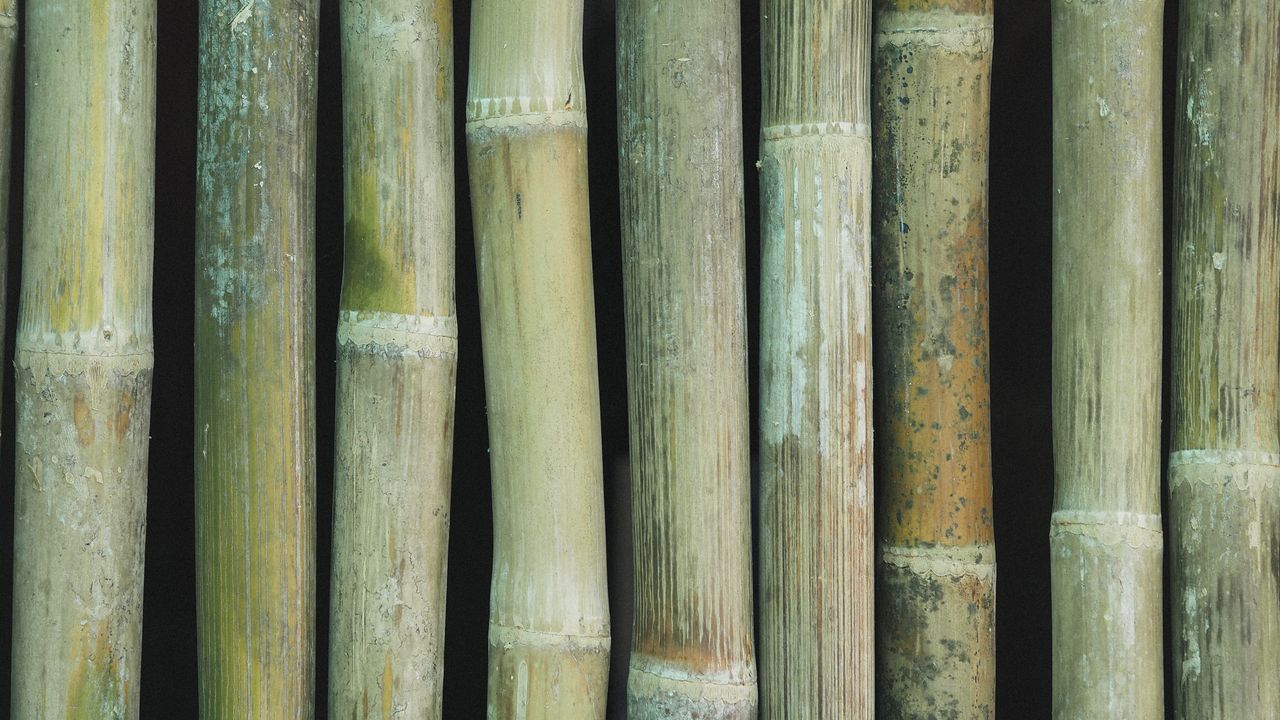 Bamboo frame detail
