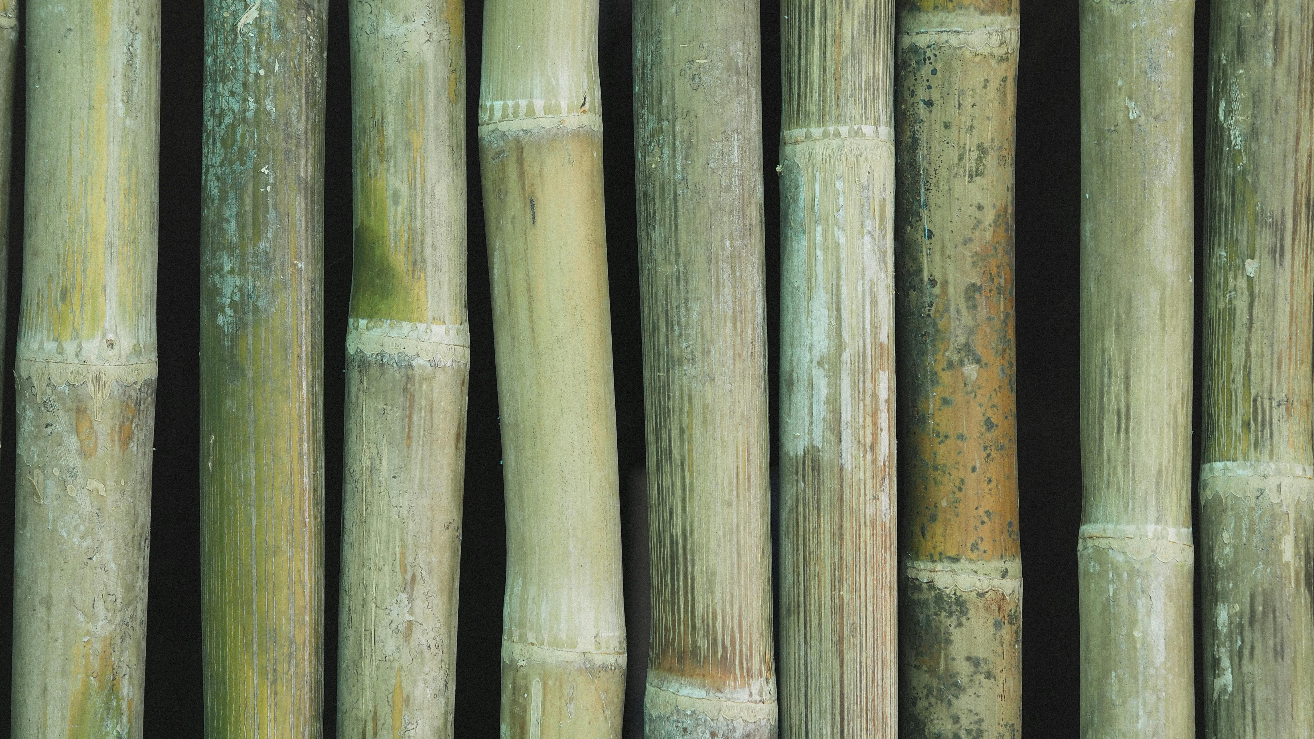 Miễn phí Hình ảnh chi tiết về kết cấu của các thân tre được sắp xếp theo chiều dọc, thể hiện những hoa văn tự nhiên. Ảnh lưu trữ