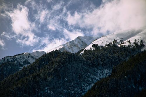 Free Breathtaking snowy mountains and forest under a cloudy sky in Bansko, Bulgaria. Stock Photo