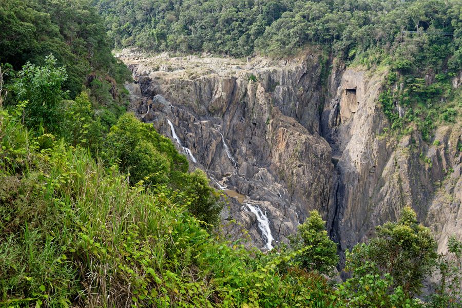Five days: Cairns, Kuranda, the Tablelands, Port Douglas and the outer reef