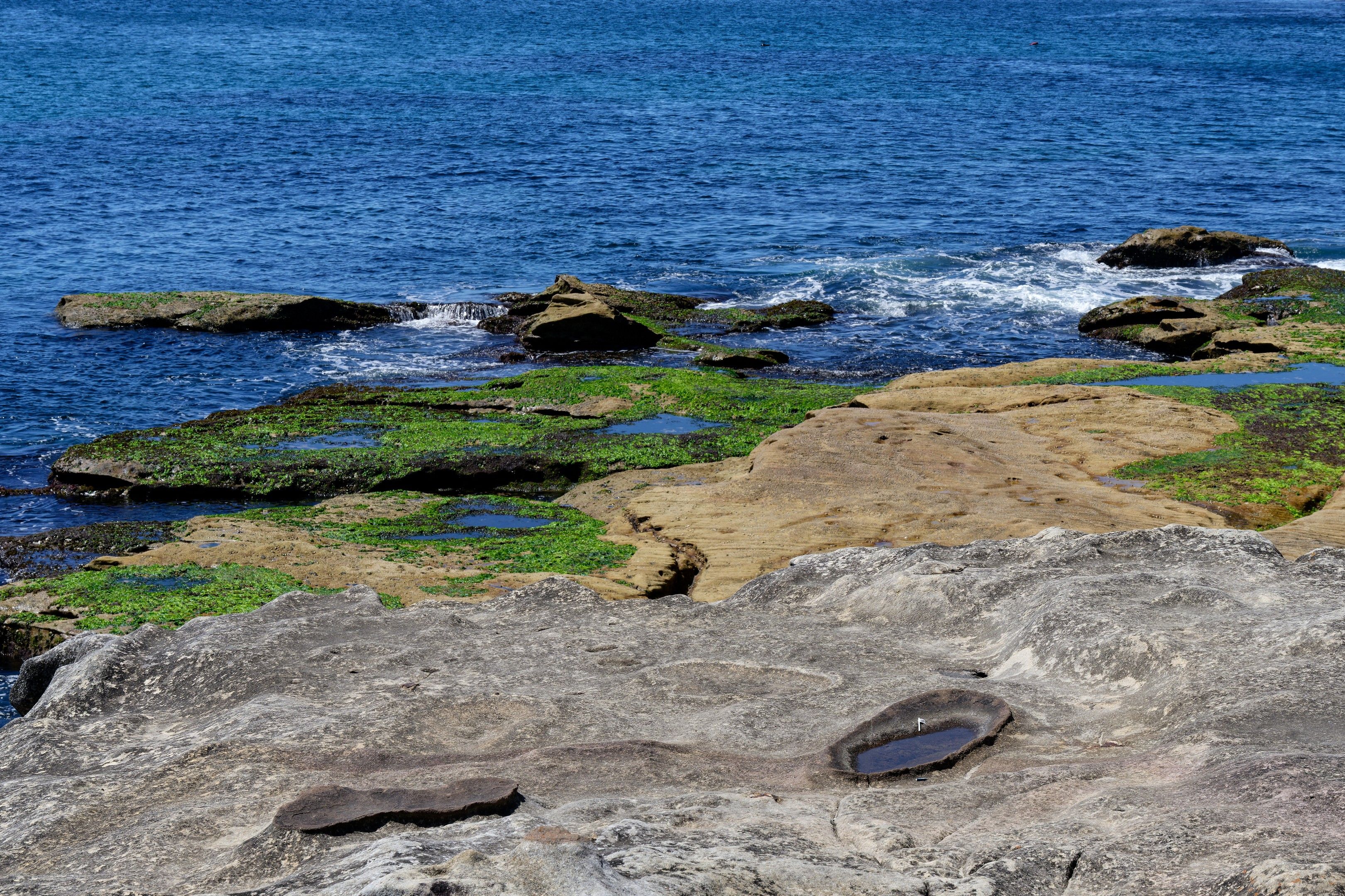 Rocky Sydney shoreline with bright blue ocean along the Bondi to Coogee coast.