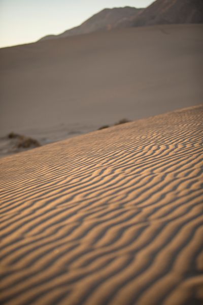 Textured sand dunes at sunset, photo by Stephen Leonardi on Pexels