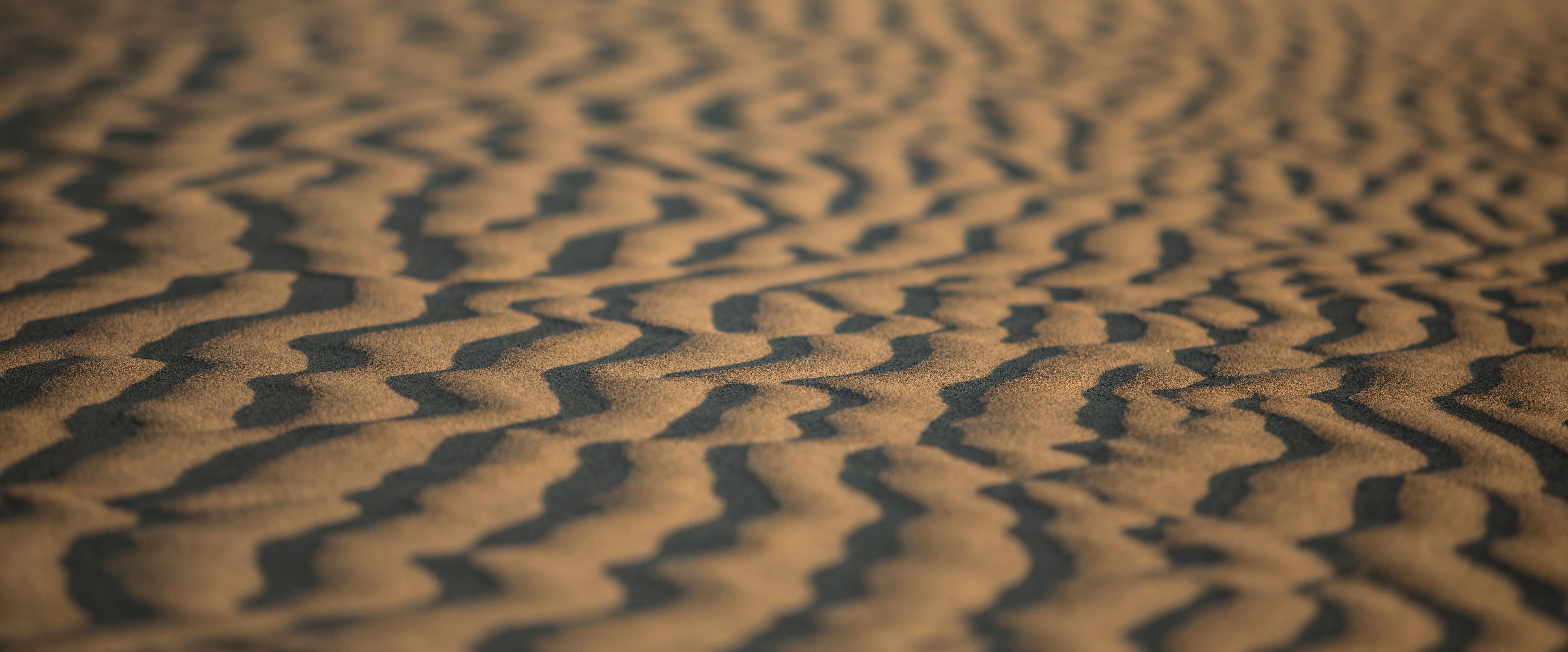 Golden sand dunes of the Thar Desert near Jaisalmer