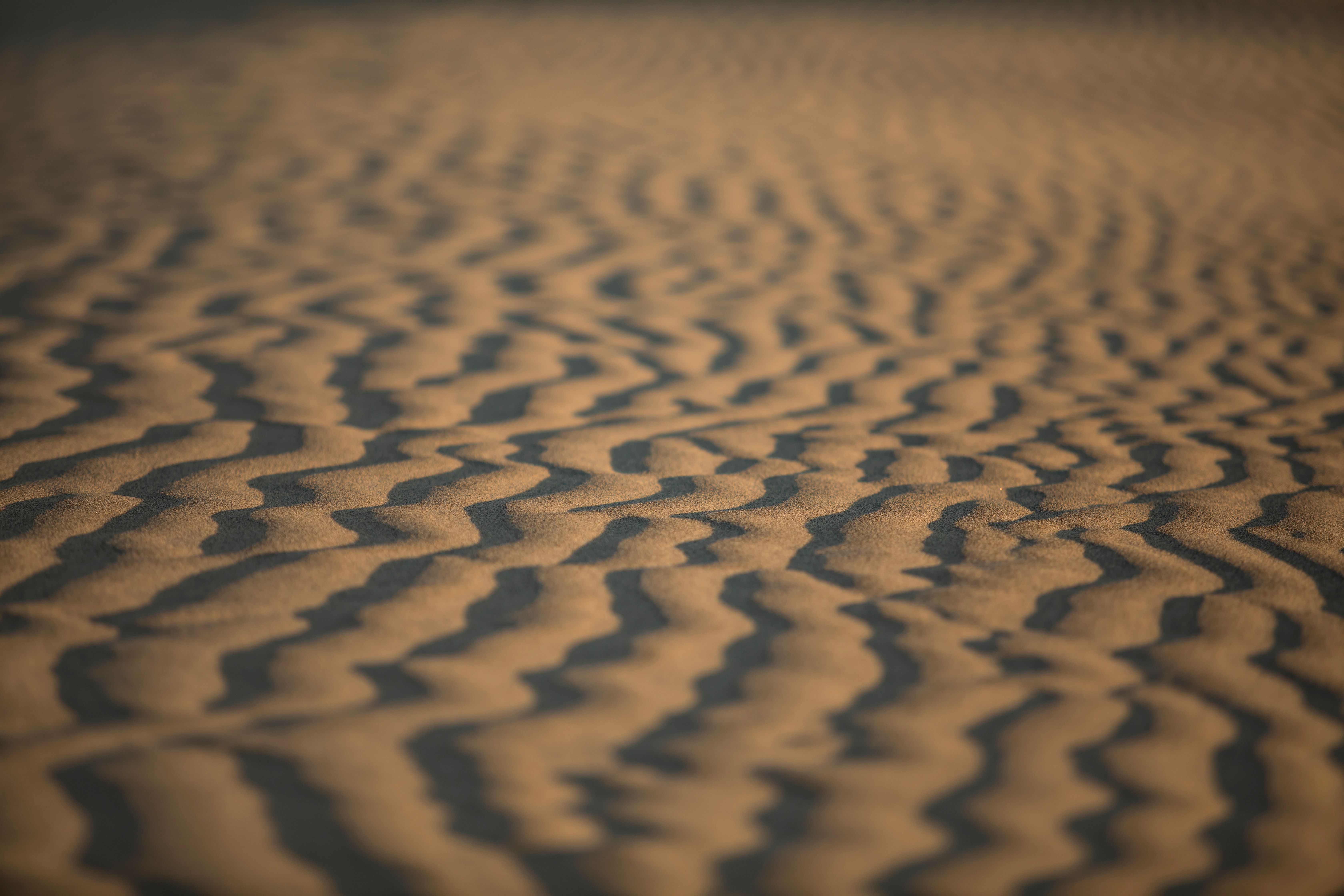 Rippling sand dunes at sunset, Sudan
