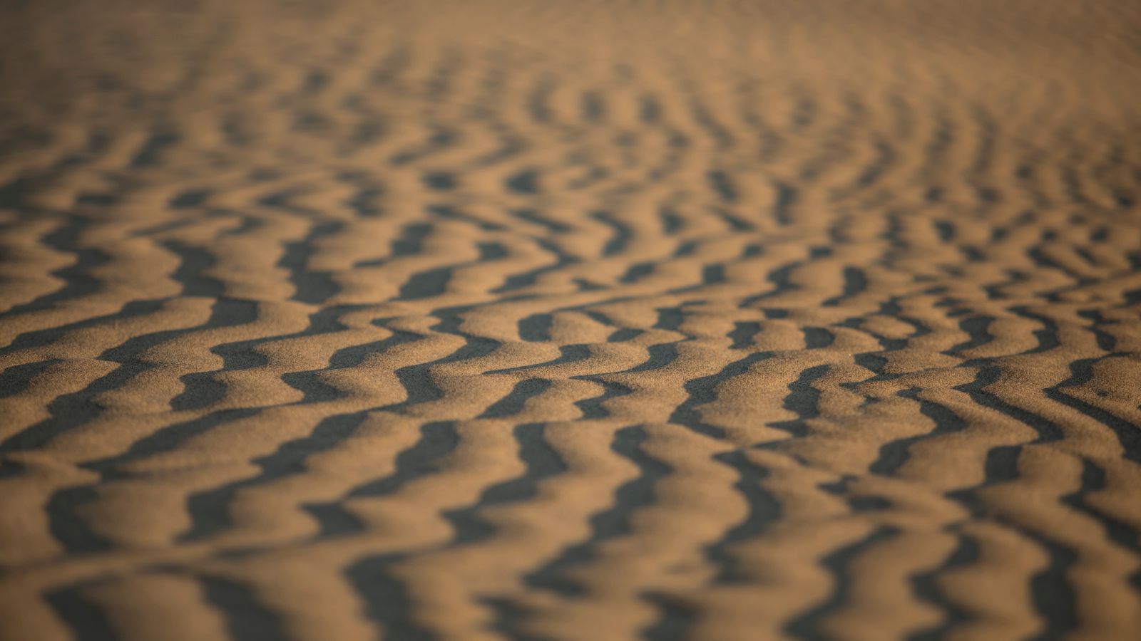 Rippling sand dunes at sunset, Sudan