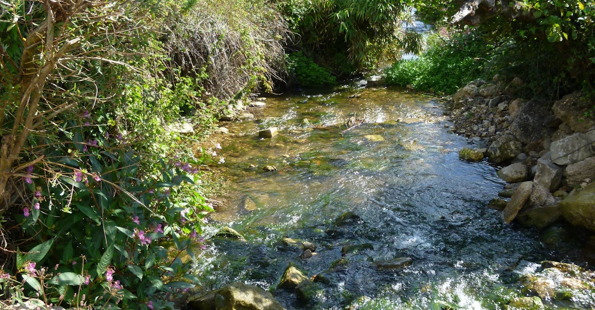 Free stock photo of river, rocks, stream