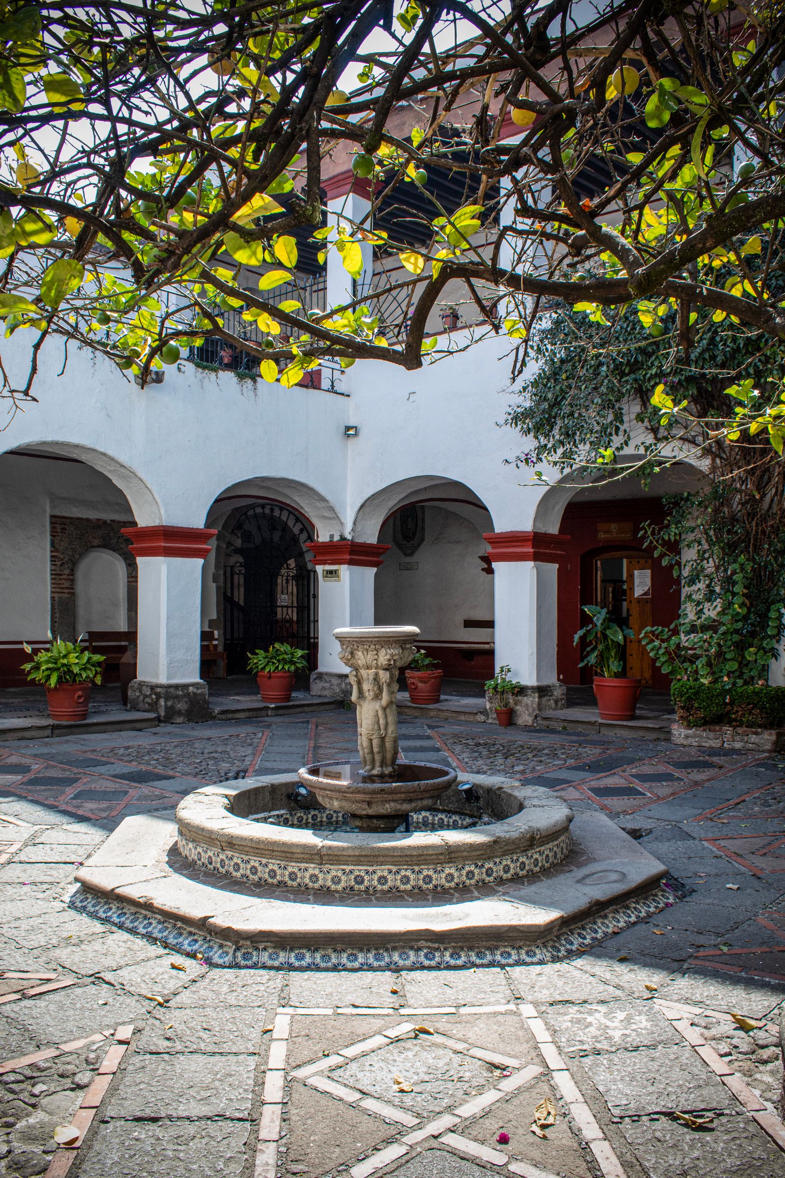 Foto 6 de Hacienda San Agustín