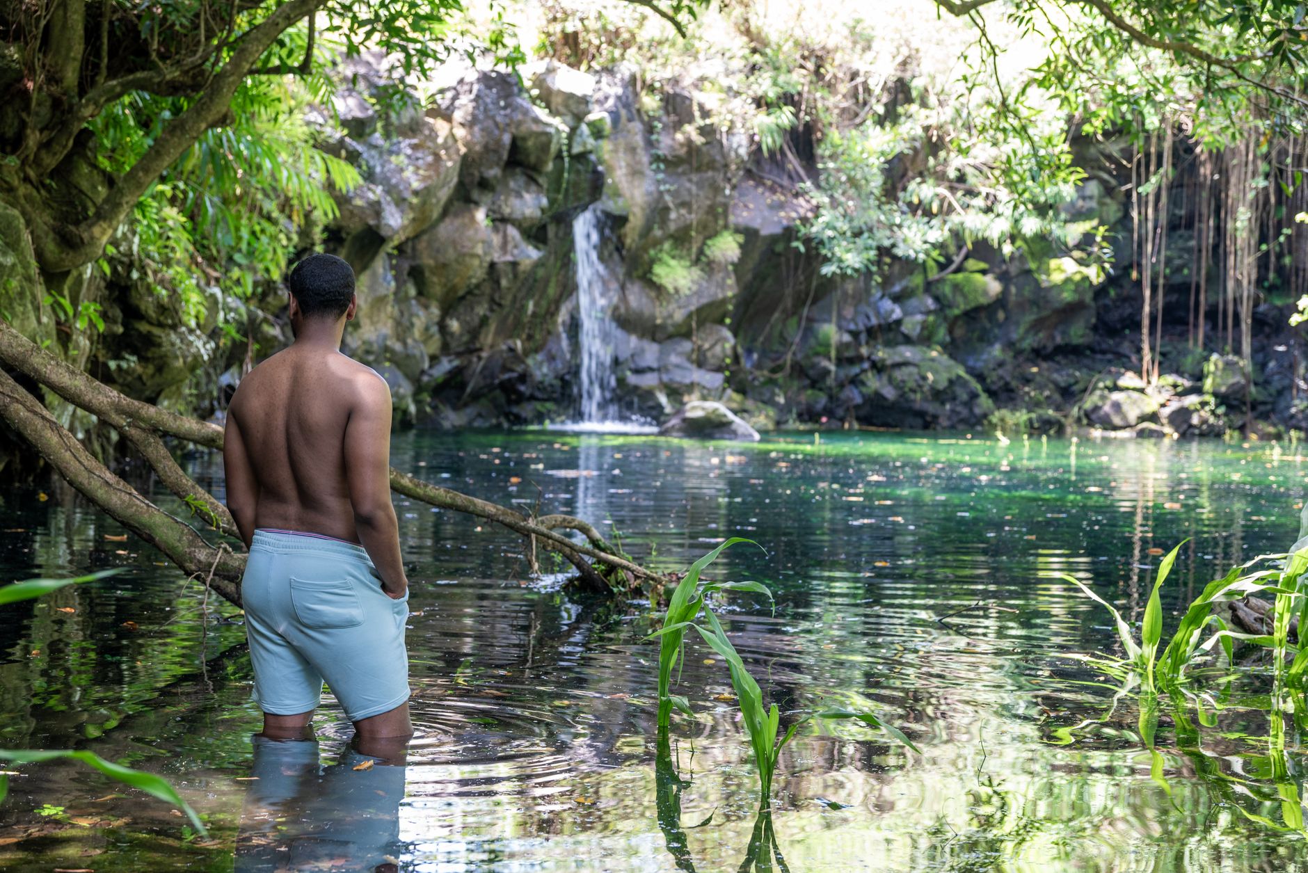 A man stands in a tranquil pond surrounded by lush greenery with a waterfall in Mauritius.