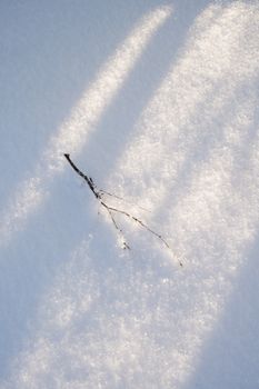 Captivating winter view of a lone twig on sunlit snow, epitomizing nature's tranquility.