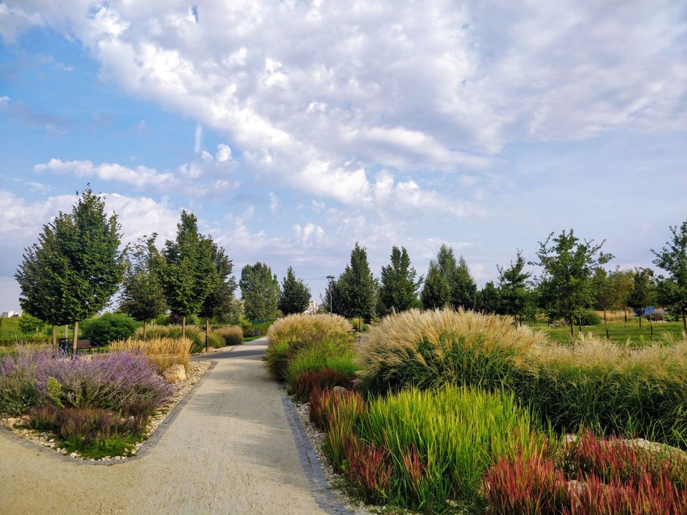 The Town Garden