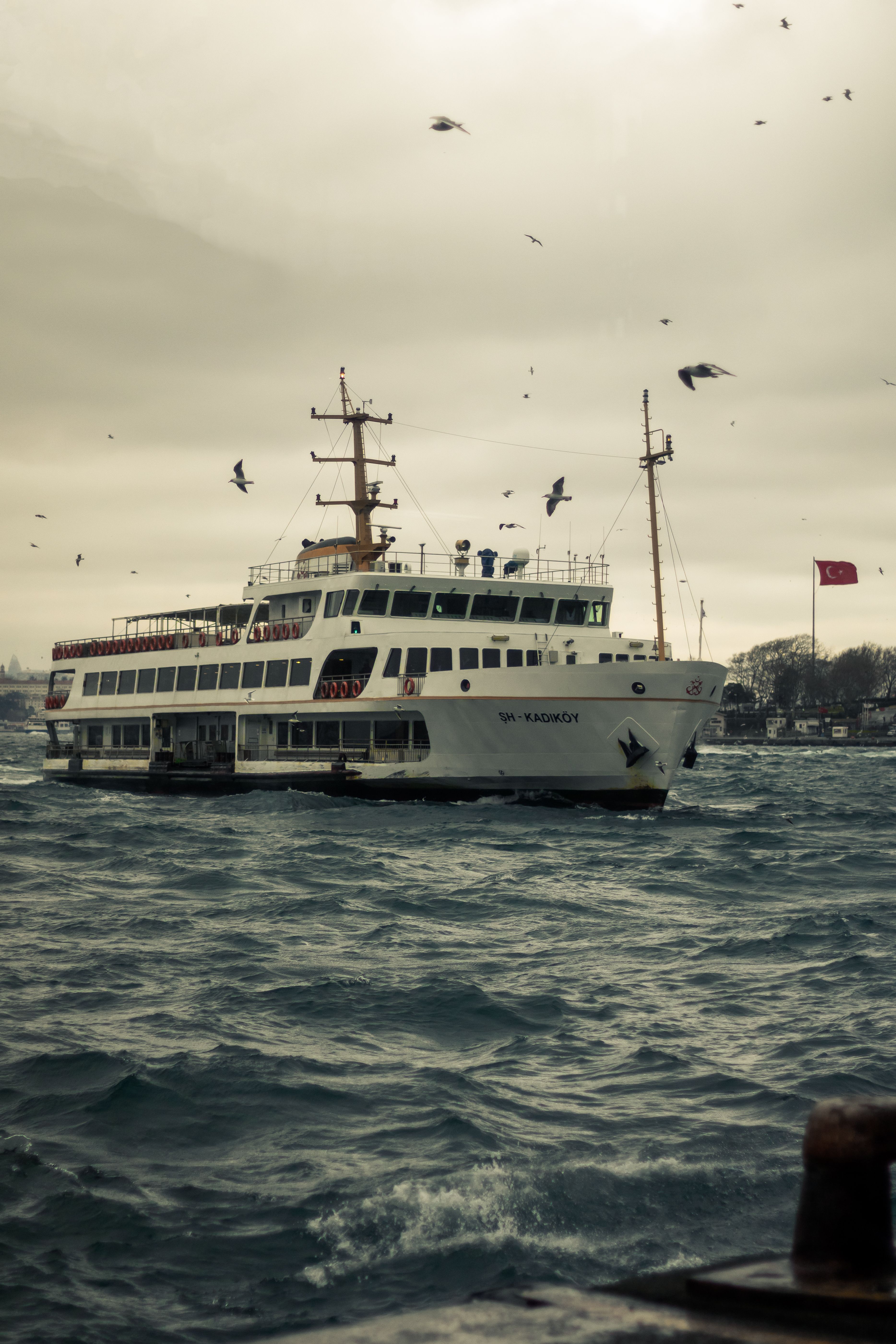 Ferry Boat at Bosphorus with Seagulls · Free Stock Photo