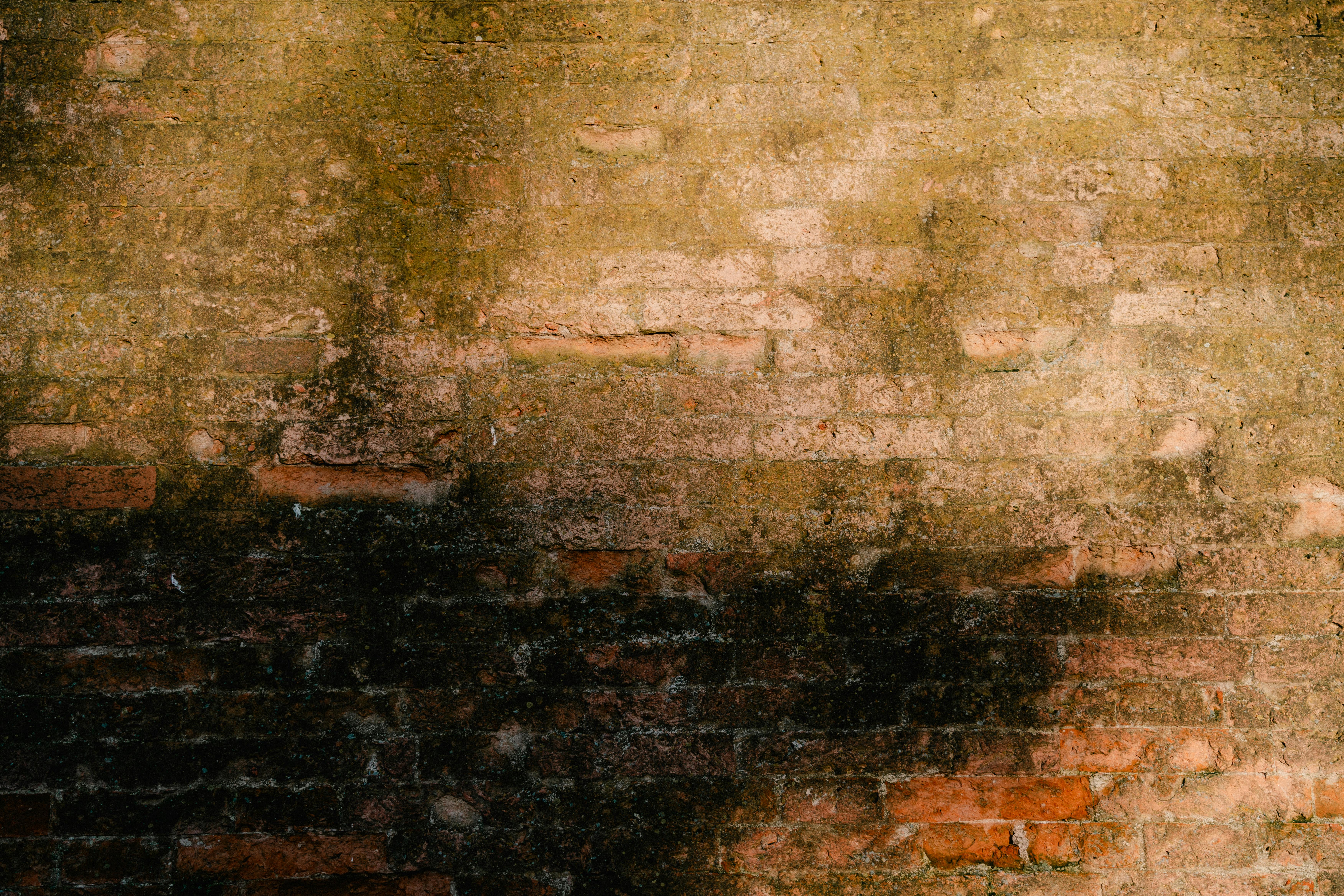 gratis Een vintage bakstenen muur met textuur, natuurlijke schaduwen en aardse tinten. Perfect voor achtergronden en designprojecten. Stockfoto