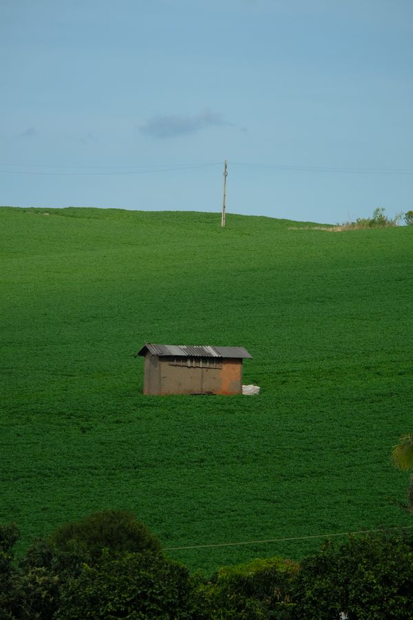 Agricultural Sheds