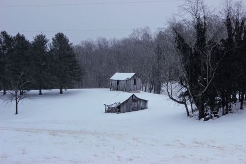 Free Quiet winter scene featuring two weathered barns amidst a snowy landscape. Stock Photo