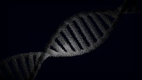 Lupus Gene Variant May Boost Immunity to Viruses