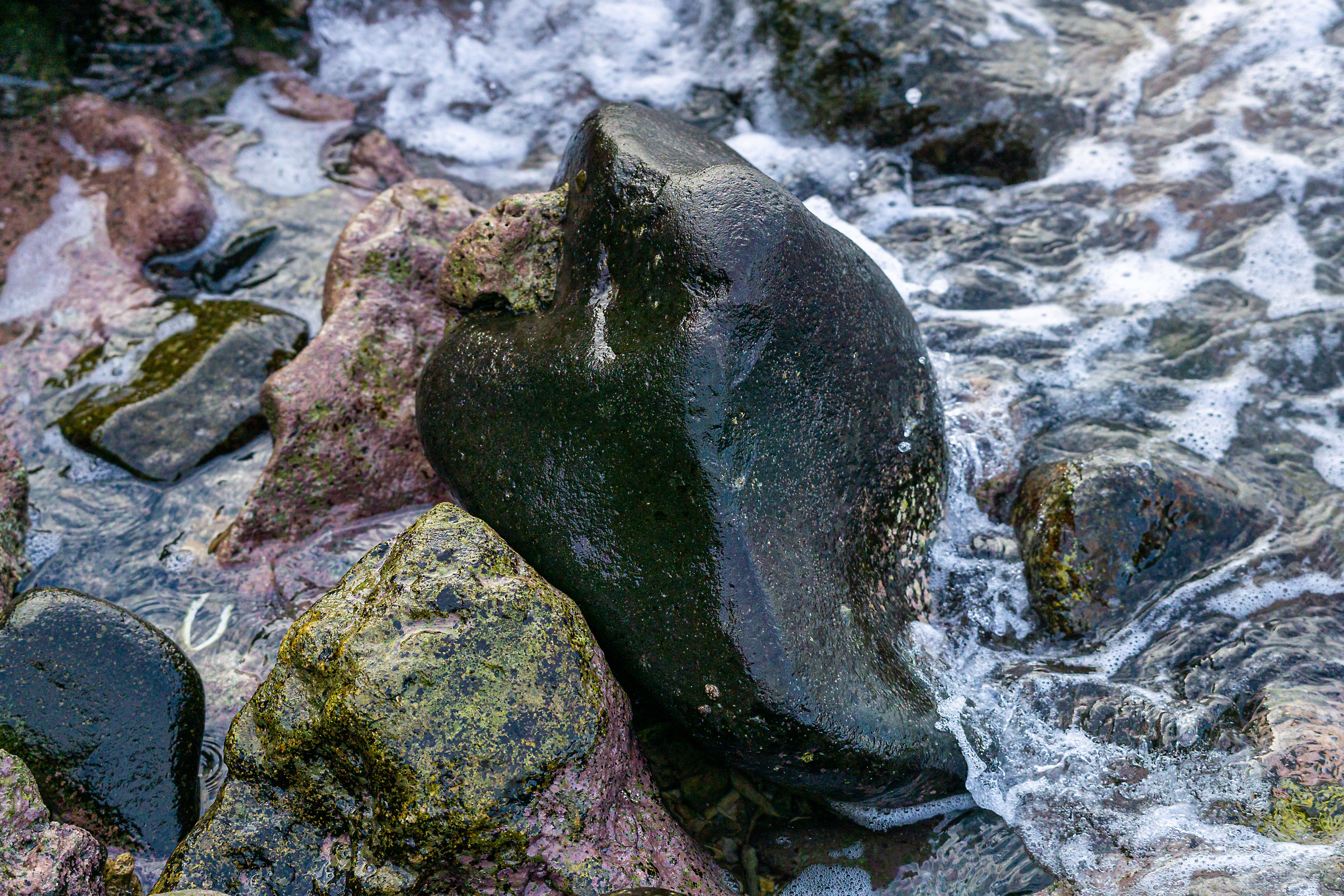 Natural Coastal Rock Formation in Ocean Water · Free Stock Photo