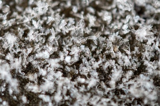Close-up view of intricate snowflake crystals showcasing detailed frozen patterns in winter setting.
