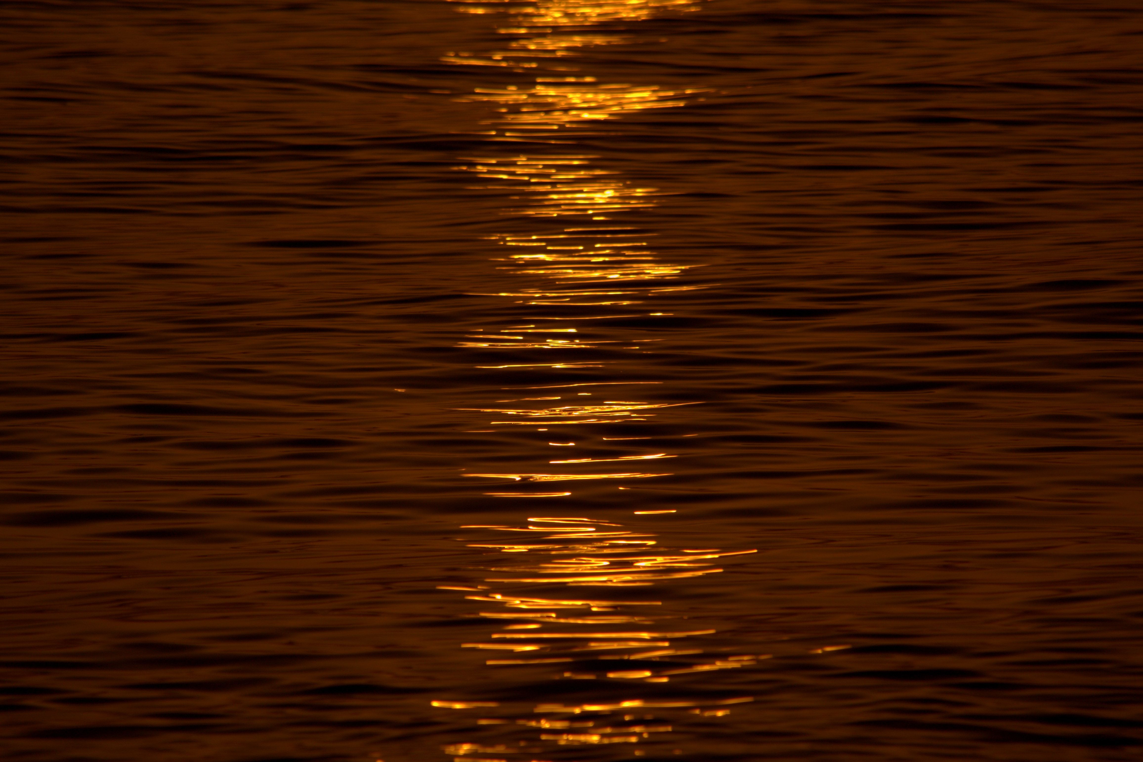 Golden Sunlight Reflection on Tranquil Water in Oman · Free Stock Photo