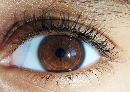 Free High-resolution close-up photo of a brown human eye showcasing intricate iris details and natural reflection. Stock Photo
