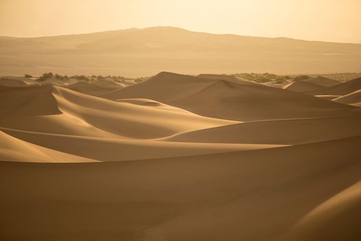 Capture of expansive sand dunes under warm golden light, evoking tranquility and vastness.
