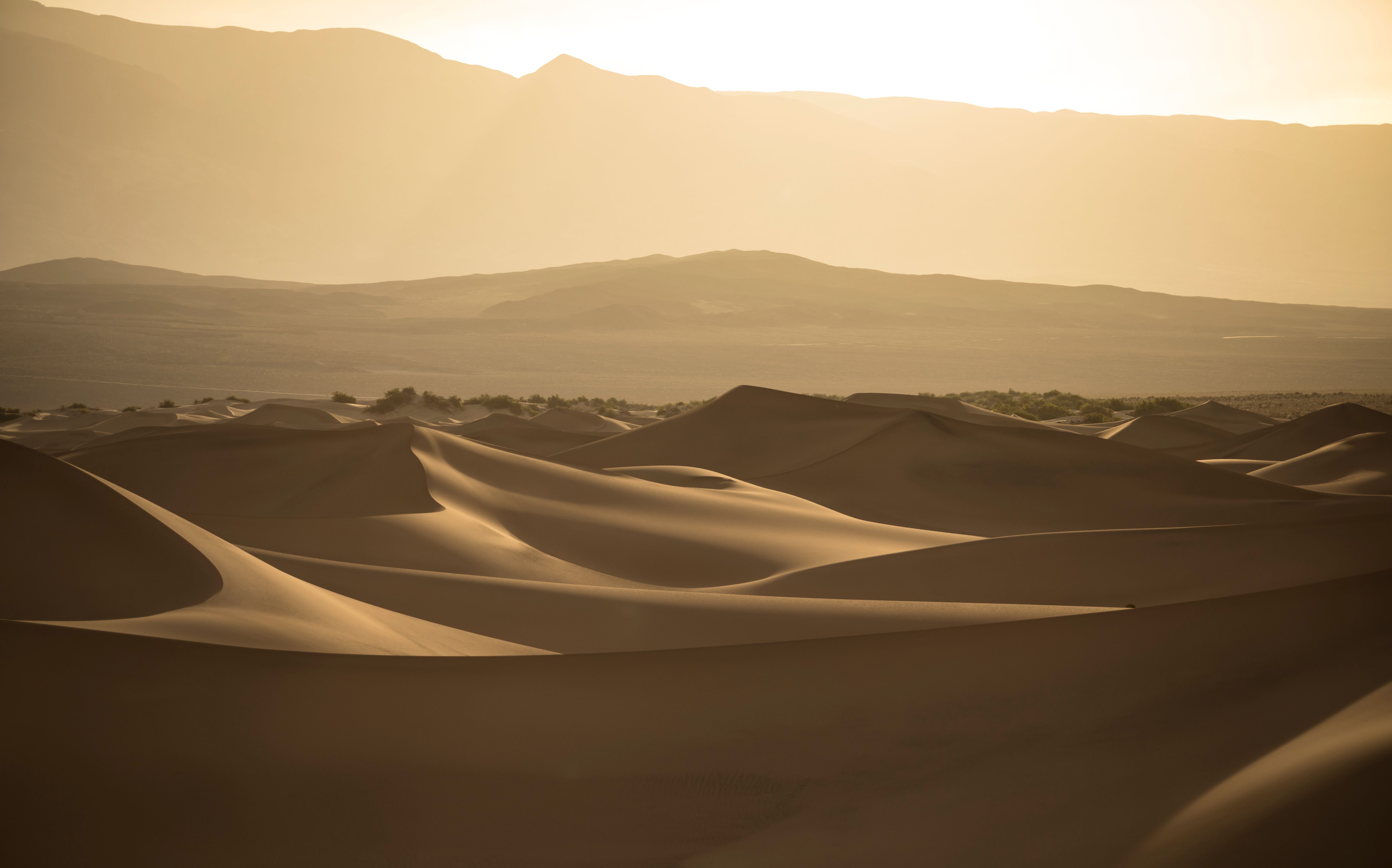 Captivating view of sand dunes bathed in golden light during sunset, creating a serene desert landscape.
