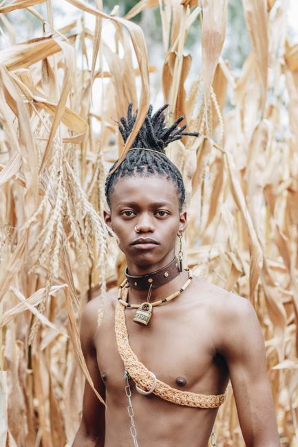 Striking artistic portrait of a man with dreadlocks posing in a cornfield, showcasing unique style and expression.