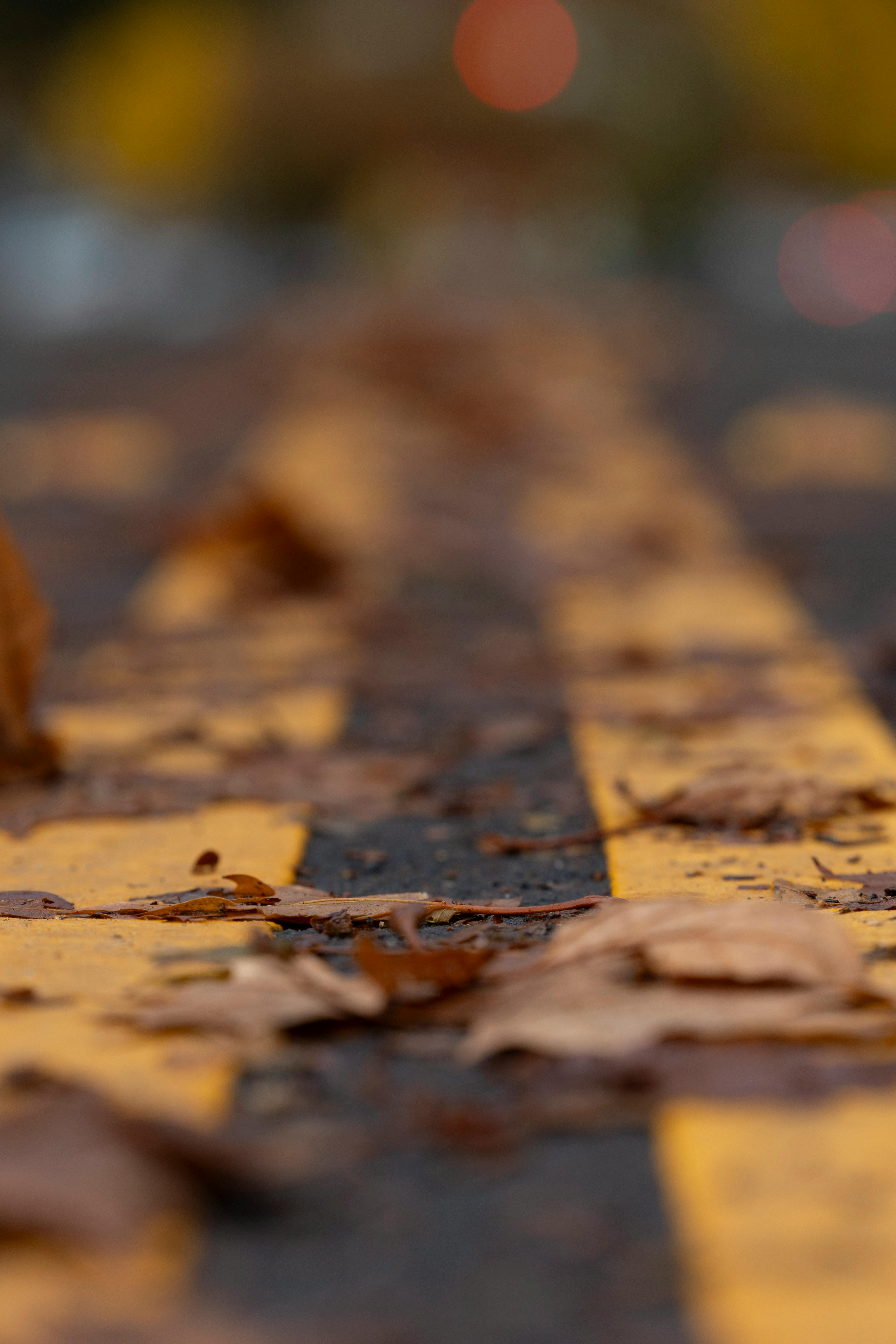 Gratis stockfoto met aard patroon, aarde, achtergrond Stockfoto