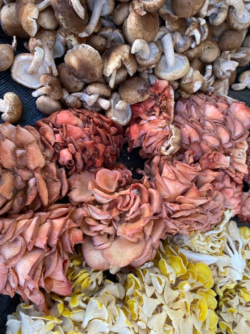 Pink and yellow mushrooms at a market