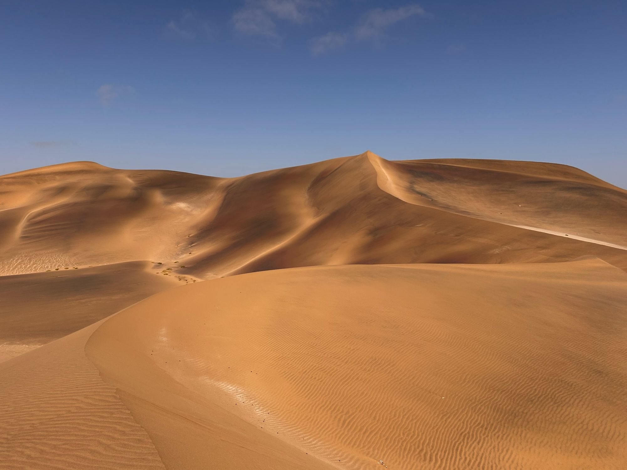 Photographer: Lucy Du Preez Golden sand dunes under clear blue skies in Swakopmund, Namibia
