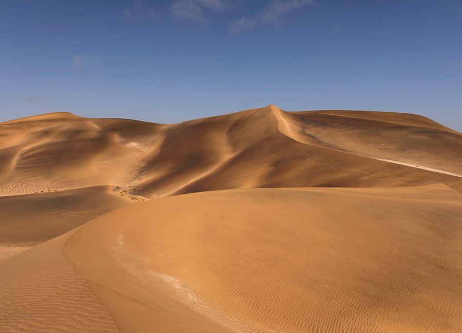 Golden sand dunes under clear blue skies in Swakopmund, Namibia.