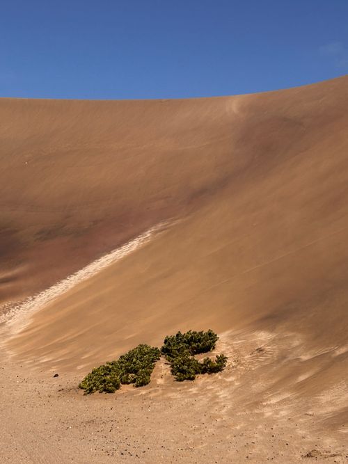 Free Vast sand dunes with sparse vegetation in Swakopmund, Namibia's desert landscape. Stock Photo