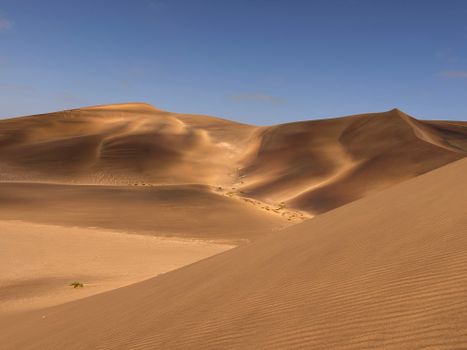 Swakopmund, Namibia photo 12