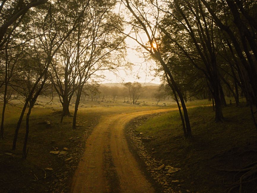 Ranthambore travel package