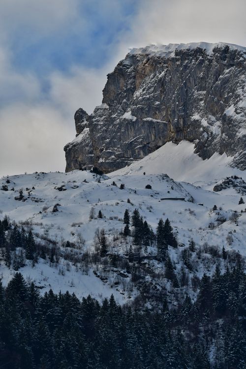 Free Stunning snow-covered mountain peak with pine trees below, capturing winter's beauty. Stock Photo