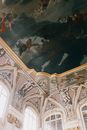 White and Brown Floral Ceiling