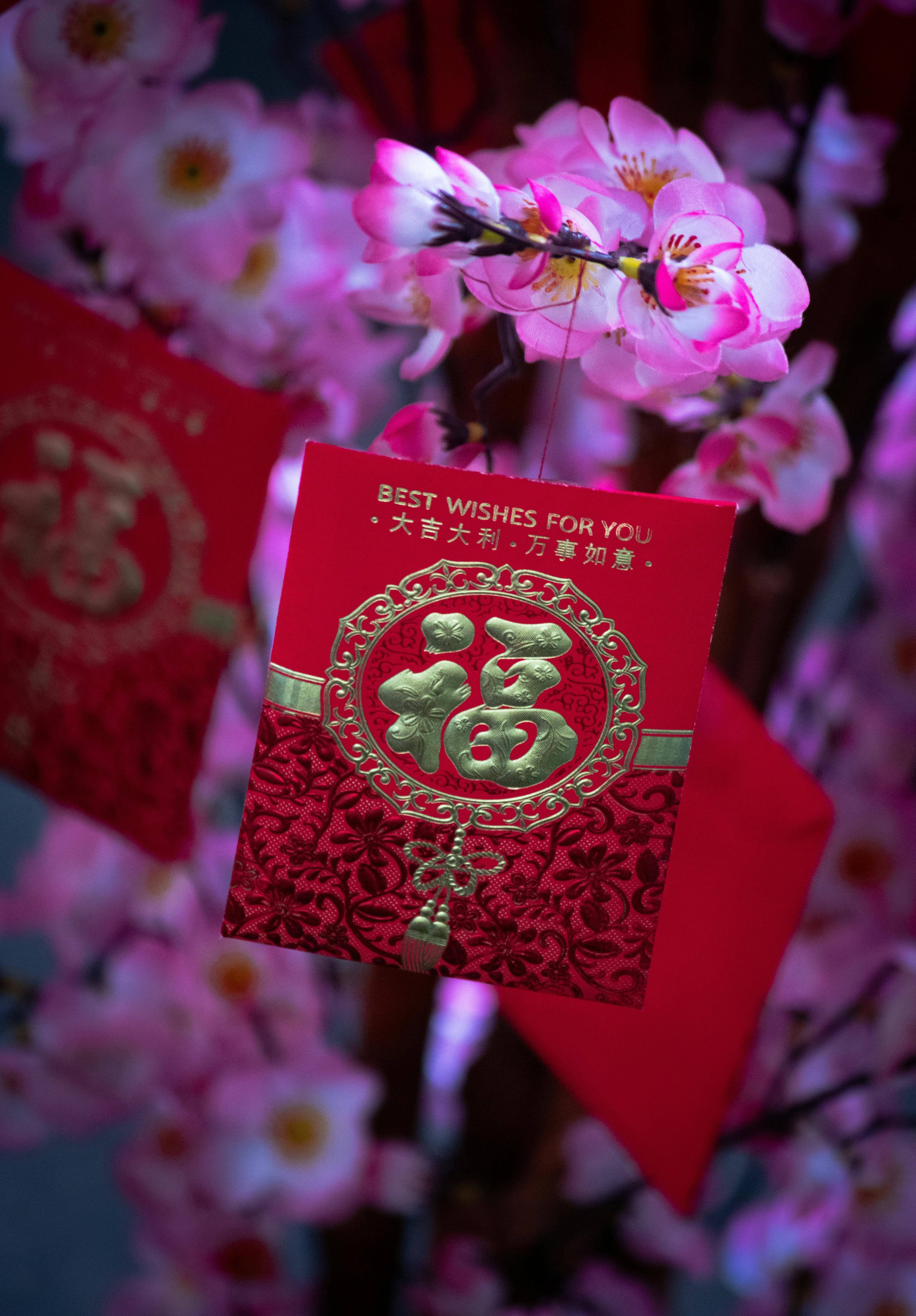 大樂透最新獎號出爐！春節百萬大紅包狂開 🎉💰