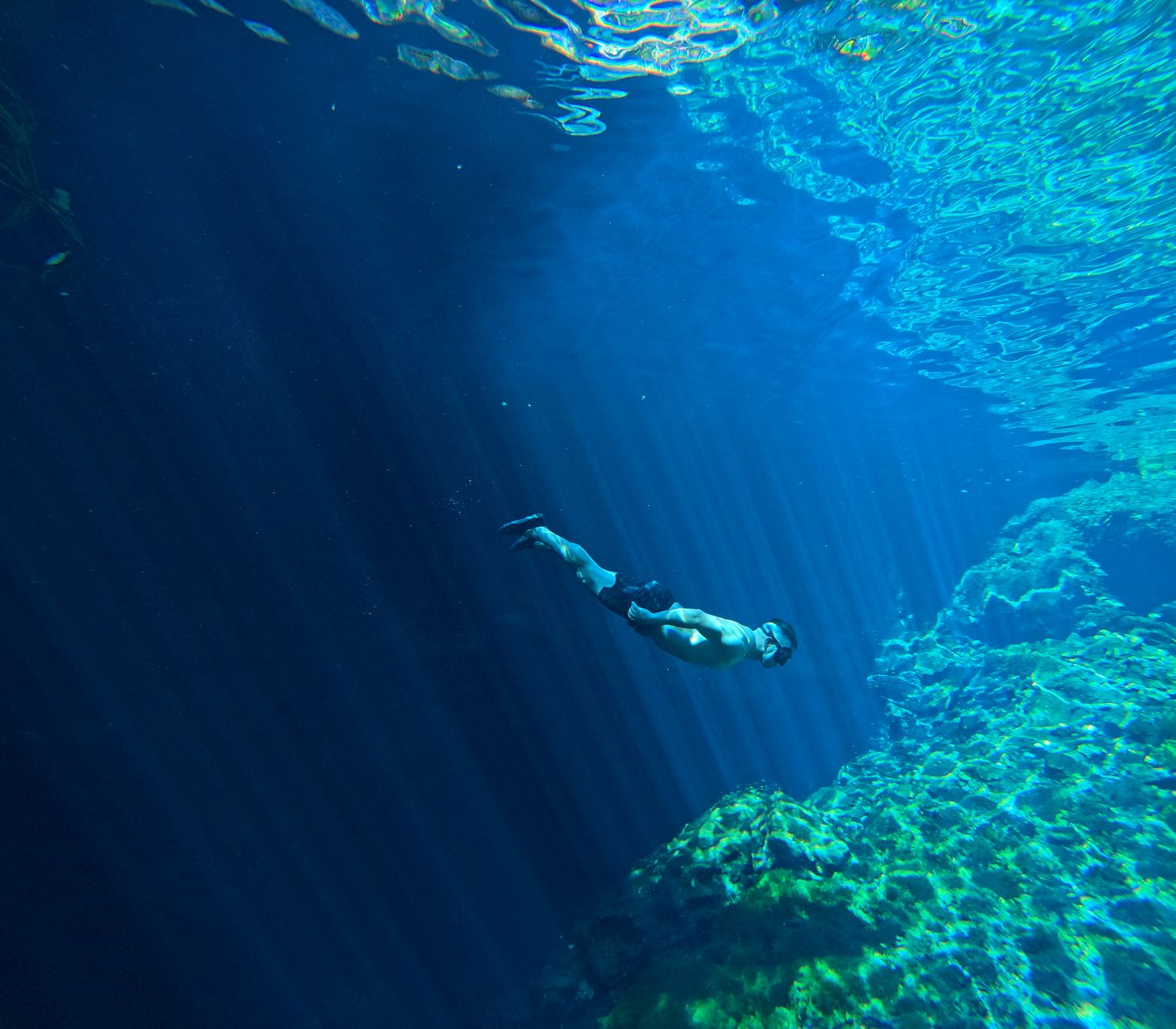 A lone free diver swimming underwater in clear, deep blue waters, exploring the aquatic world.