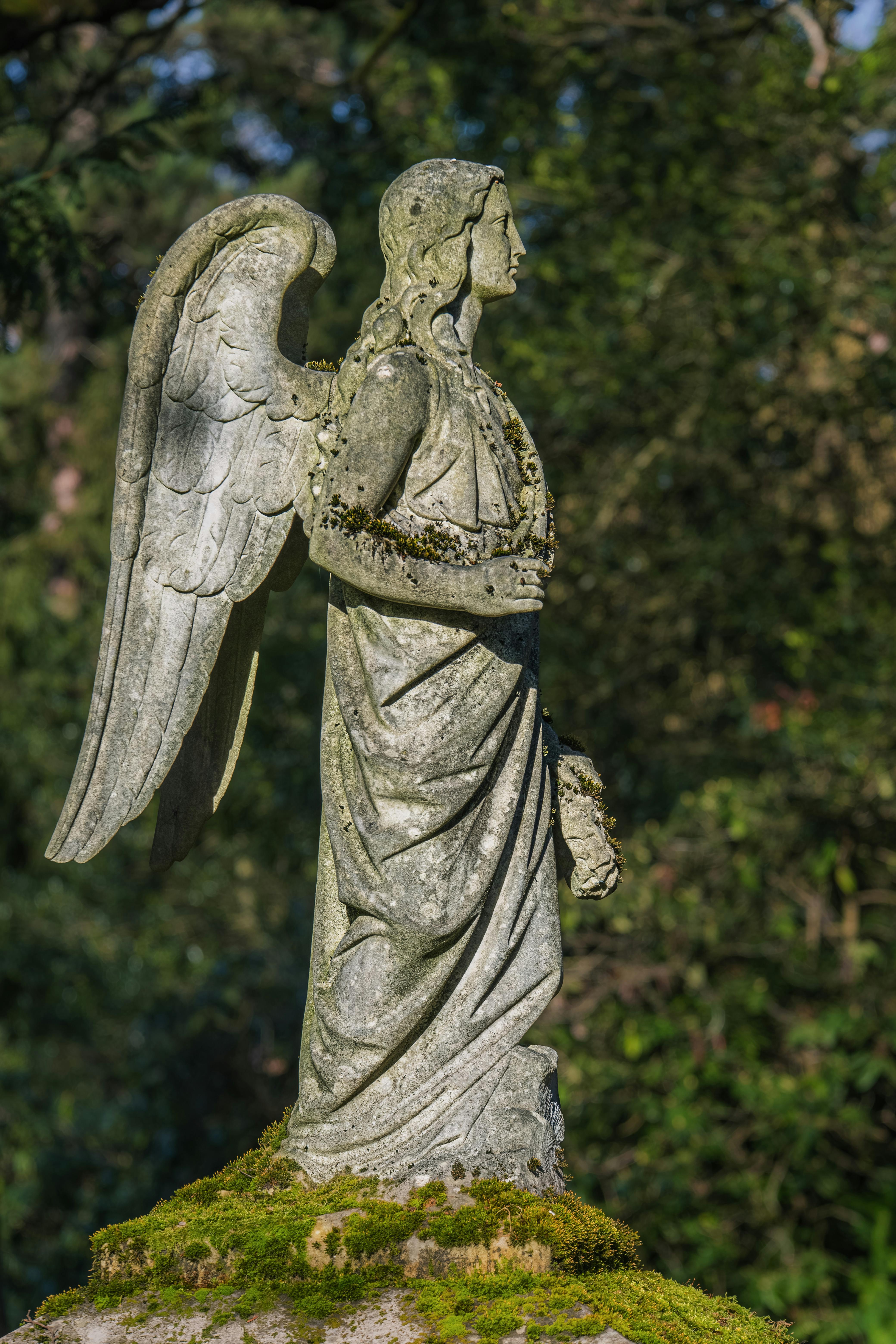 Stone Angel Statue between Trees and Plants · Free Stock Photo