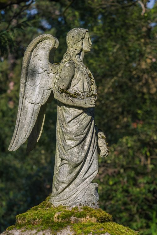 Free Elegant stone angel statue with wings, adorned with moss, surrounded by nature. Stock Photo