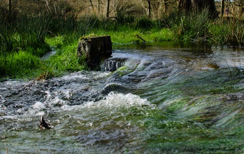 강, 개울, 분필의 무료 스톡 사진